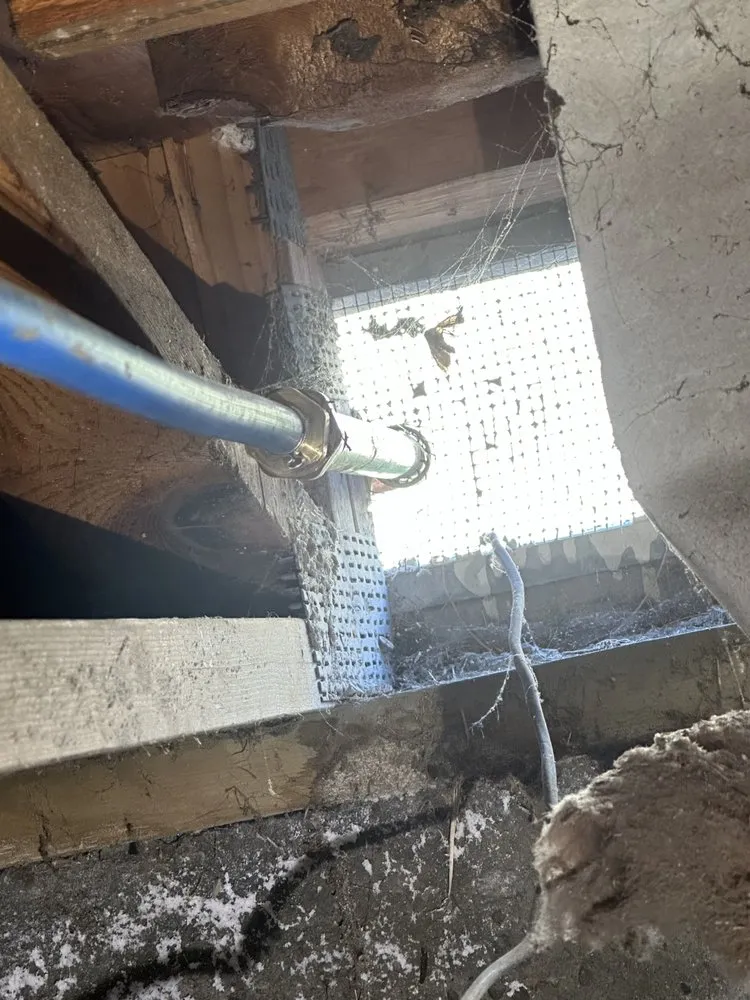 Top-rated outdoor landscaping for homes in Campbell, CA by EliteCraftWork