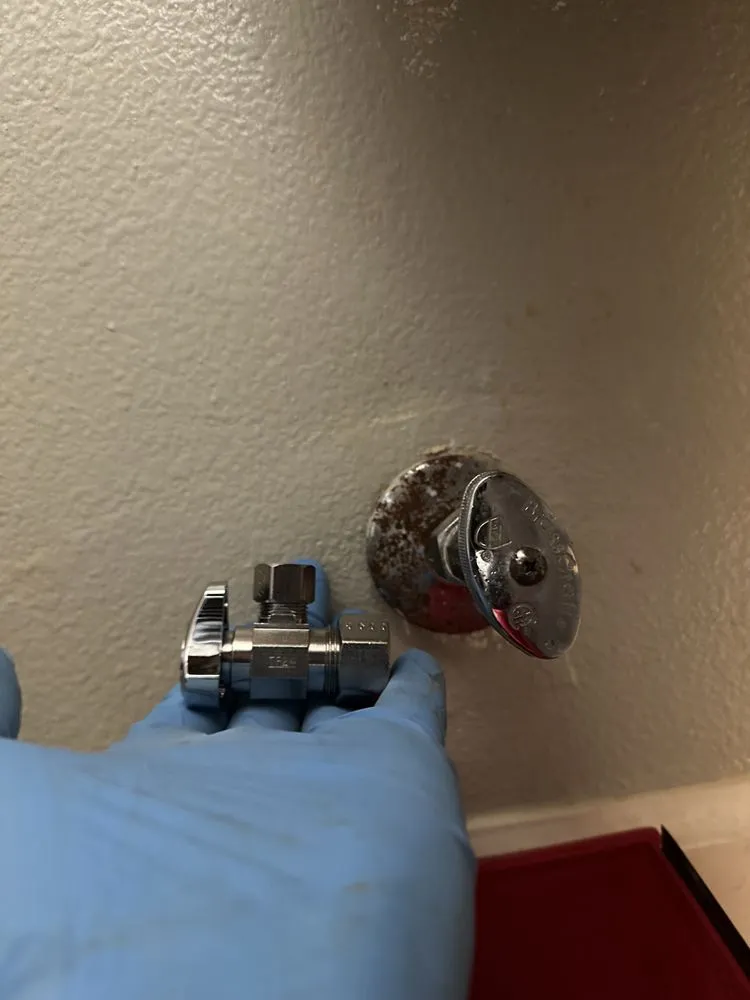 Local yard maintenance in Campbell, CA - EliteCraftWork