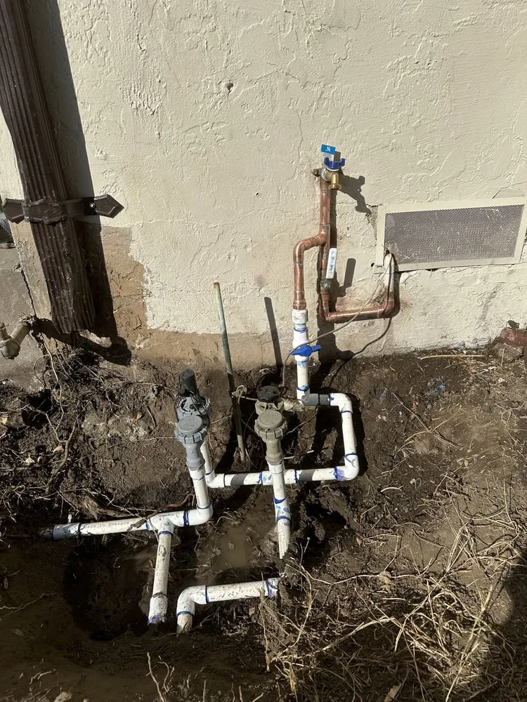 Professional landscape installation in Campbell, CA by EliteCraftWork