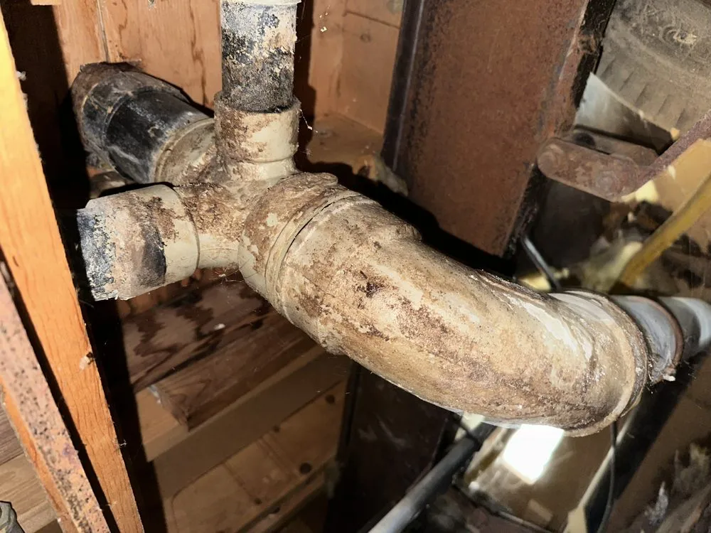 Expert lawn mowing service experts serving Campbell, CA - EliteCraftWork