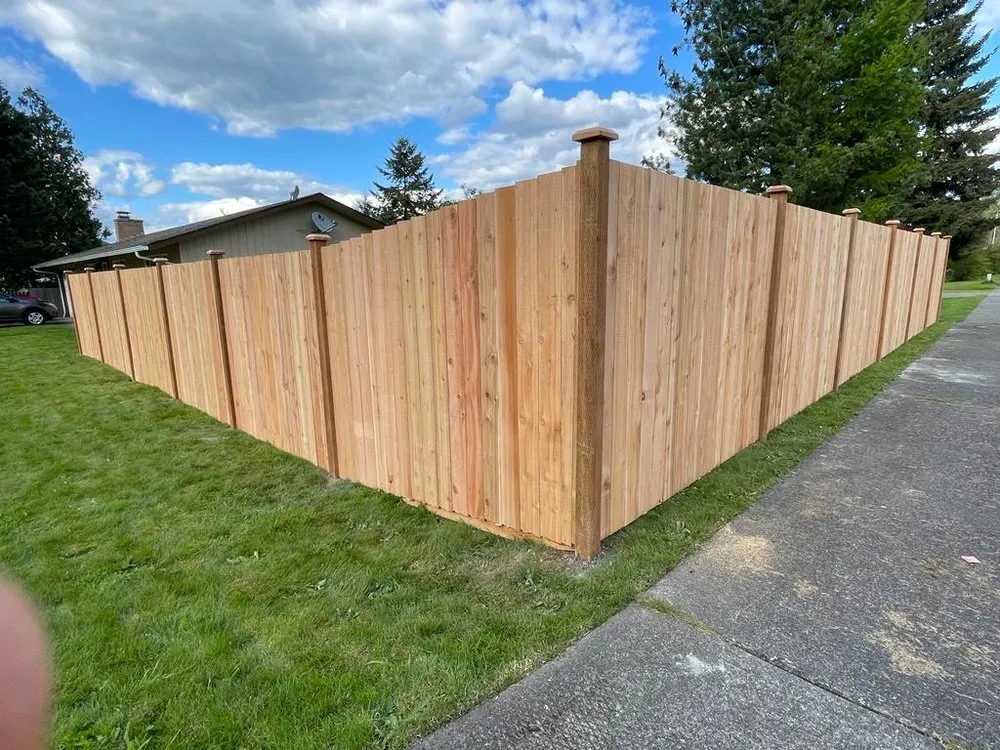 Top-rated yard cleanup service in Seattle, WA - Elitecross General Contractor