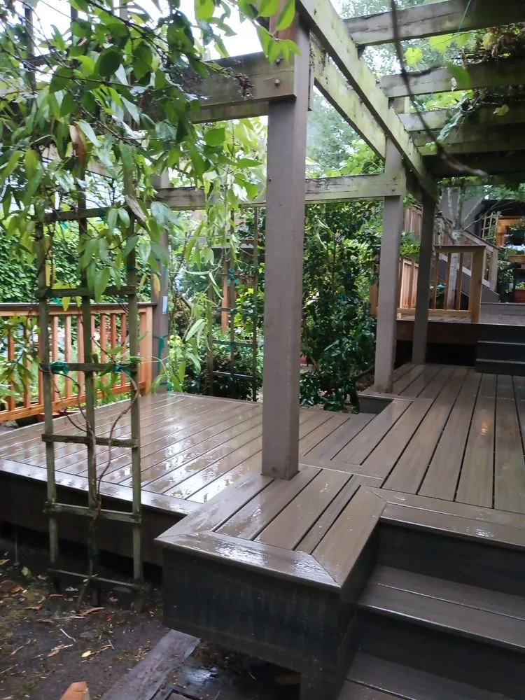 Professional yard cleanup service in Seattle, WA by Elitecross General Contractor