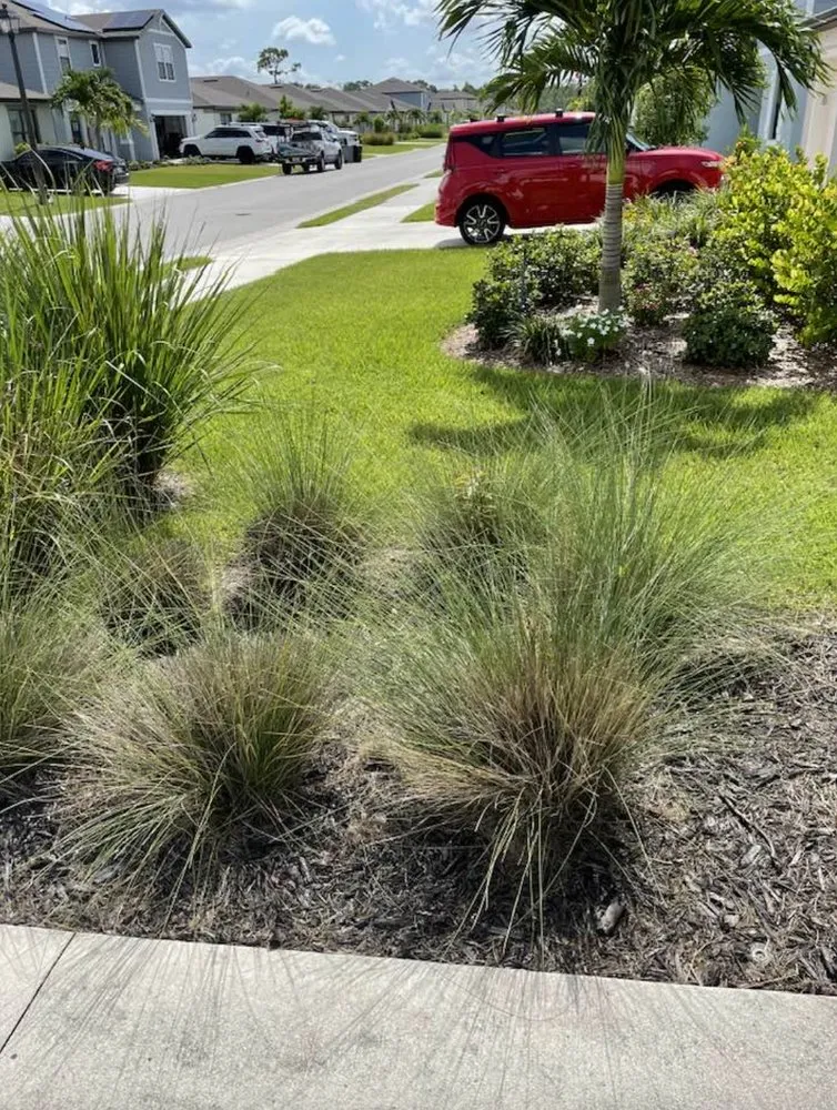 Reliable garden landscaping for year-round maintenance across Cape Coral, FL - Elitelawncare of SWFL