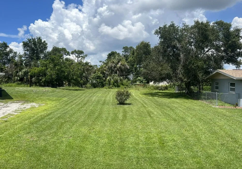 Professional yard maintenance in Cape Coral, FL by Elitelawncare of SWFL