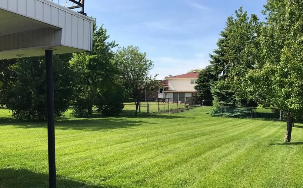 Expert residential landscaping experts serving Glenwood, IL - Elites Homecare