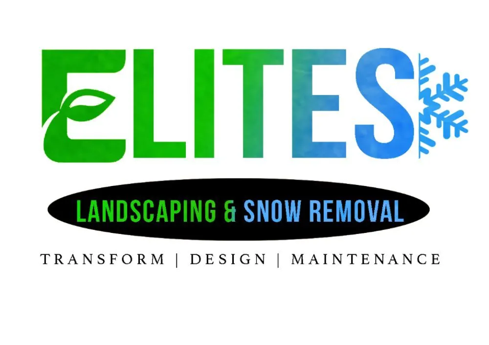 Expert outdoor landscaping in Glenwood, IL by Elites Homecare
