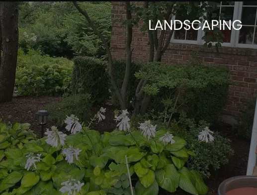 Reliable outdoor landscaping for beautiful yards across Rockford, IL - Elites Lawncare And Snow Removal