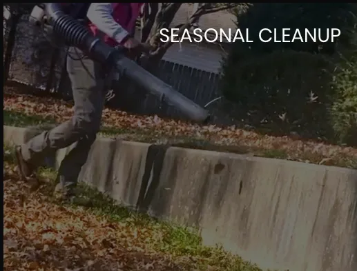 Local lawn care service for beautiful yards across Rockford, IL - Elites Lawncare And Snow Removal