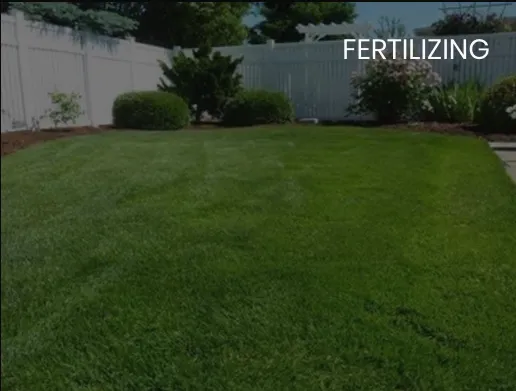 Professional yard maintenance near you across Rockford, IL - Elites Lawncare And Snow Removal