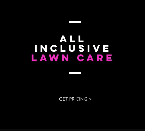 Local residential landscaping experts serving Rockford, IL - Elites Lawncare And Snow Removal