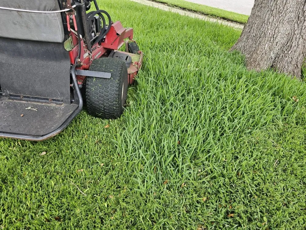 Professional residential landscaping for year-round maintenance in Jacksonville, FL by EliteScapes