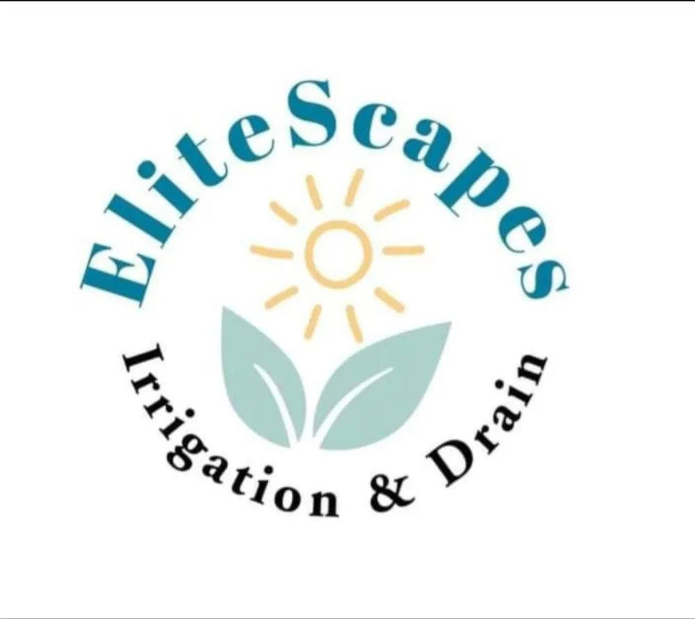 Expert yard cleanup service experts serving Jacksonville, FL - EliteScapes