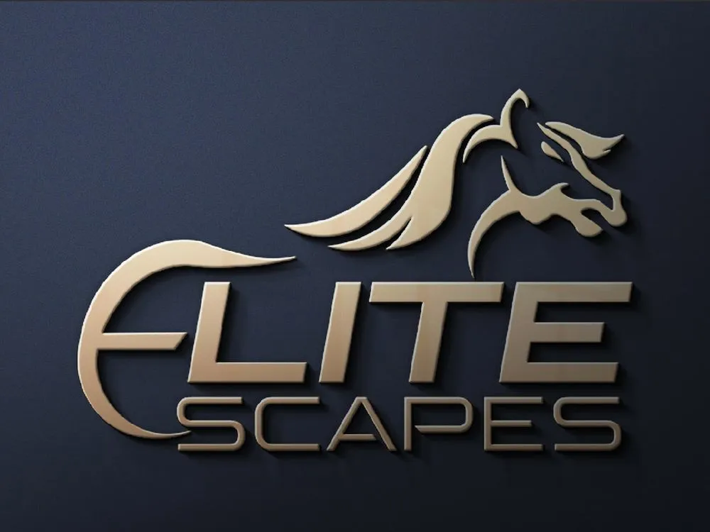 Trusted residential landscaping for outdoor upgrades across Lake Park, NC - EliteScapes