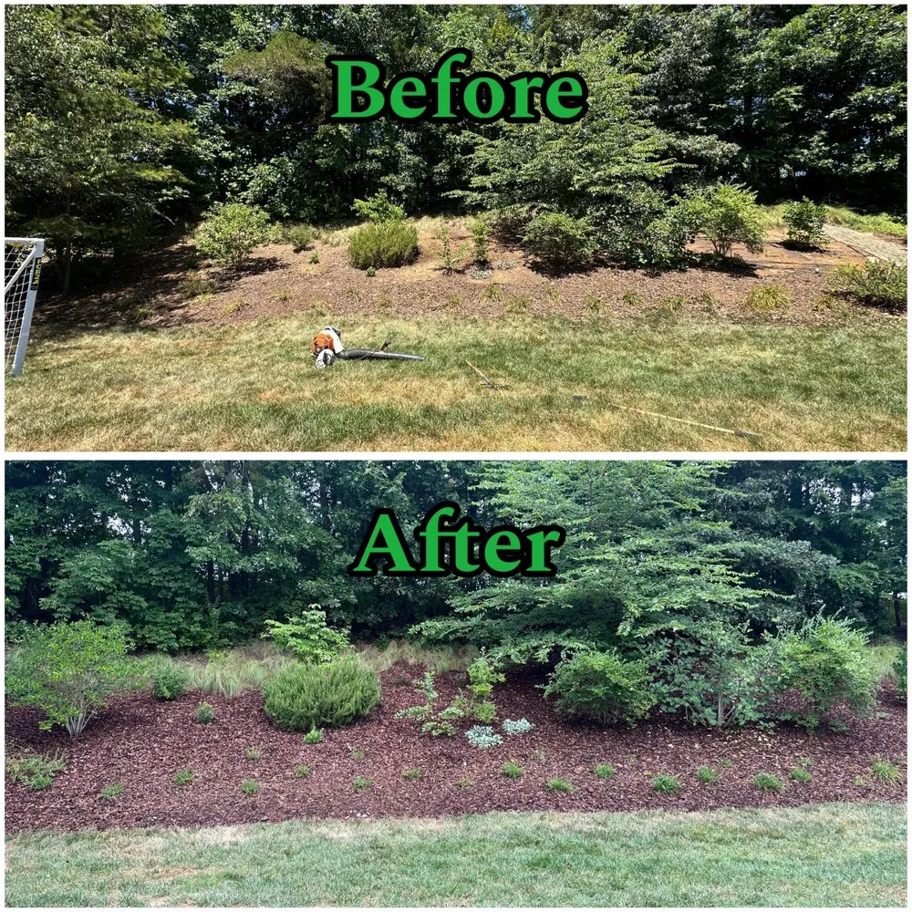 Top-rated lawn mowing service in Lake Park, NC - EliteScapes