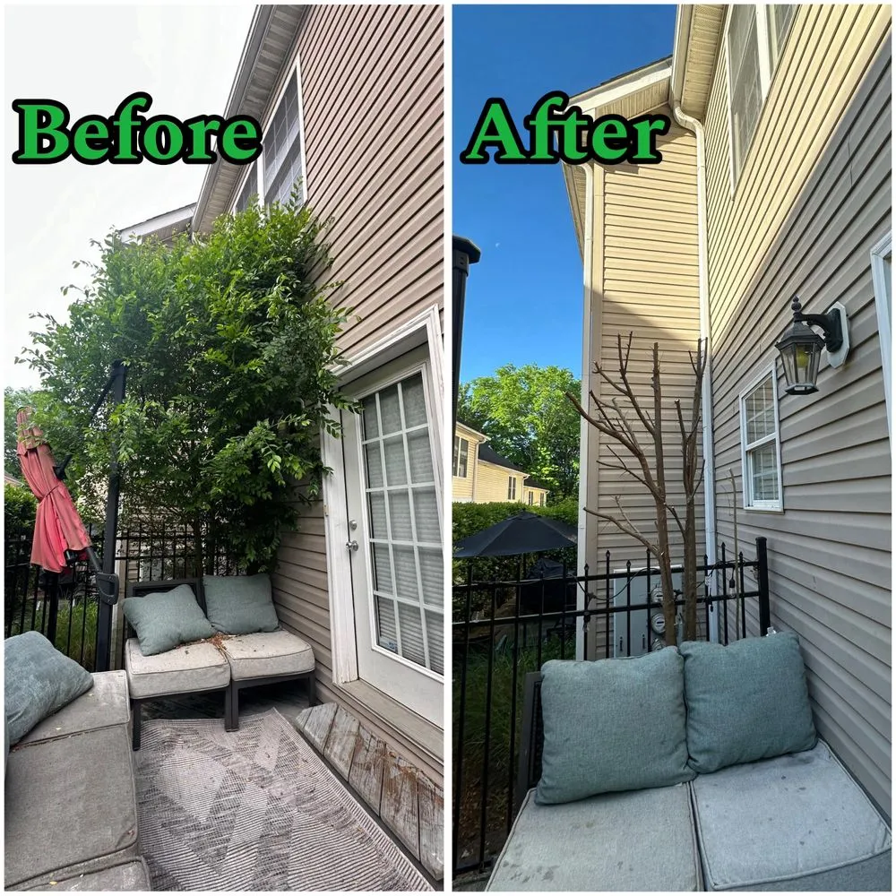 Affordable garden landscaping for year-round maintenance across Lake Park, NC - EliteScapes