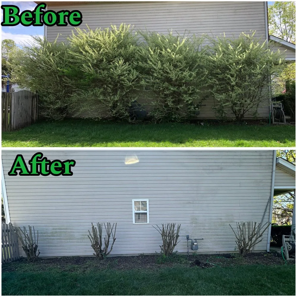 Professional yard maintenance near you across Lake Park, NC - EliteScapes