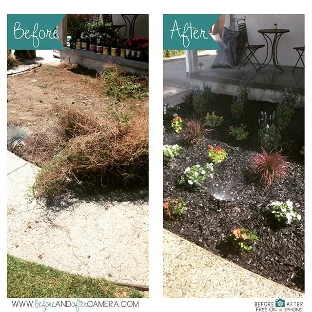 Custom residential landscaping in Castro Valley, CA by EliteyardsLandscaping