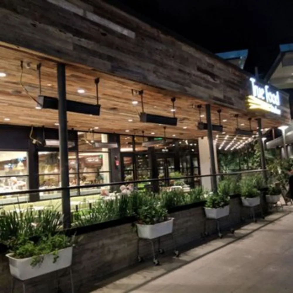 Top-rated lawn mowing service for homes across Castro Valley, CA - EliteyardsLandscaping