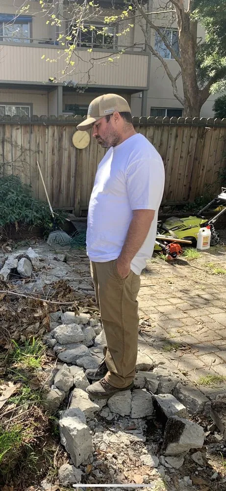 Expert yard cleanup service in Castro Valley, CA - EliteyardsLandscaping