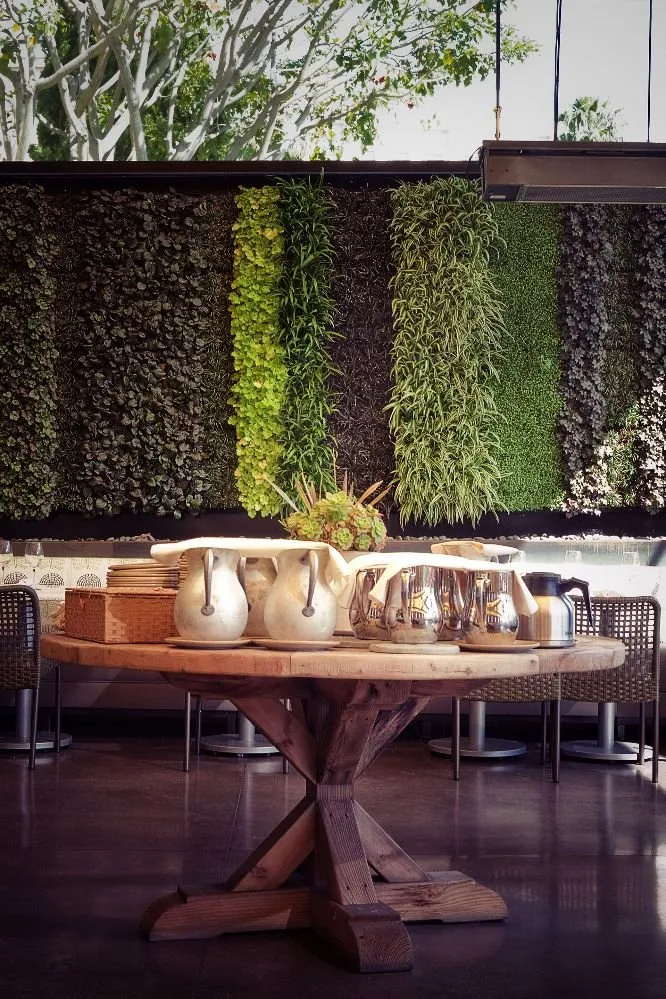 Expert yard maintenance in Castro Valley, CA by EliteyardsLandscaping