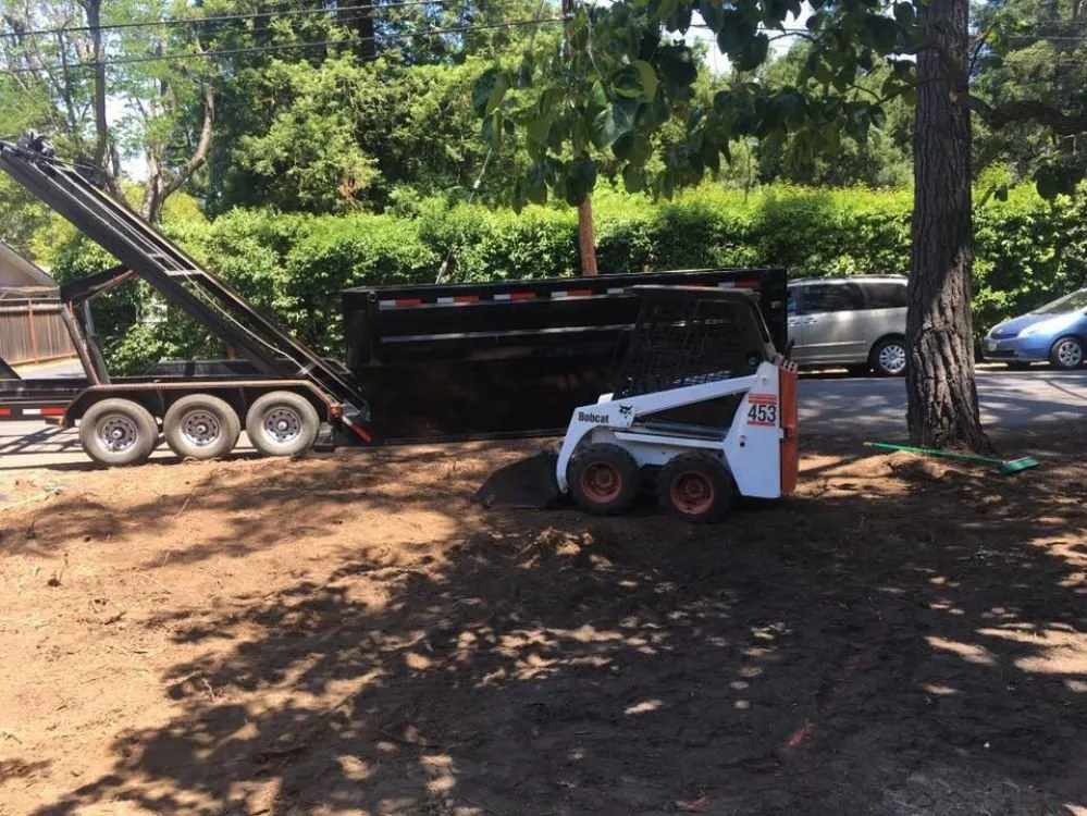 Professional yard cleanup service experts serving Castro Valley, CA - EliteyardsLandscaping