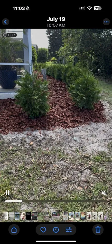Local yard maintenance experts serving Leesburg, FL - Eliu Landscaping