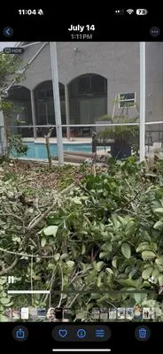 Eliu Landscaping Logo