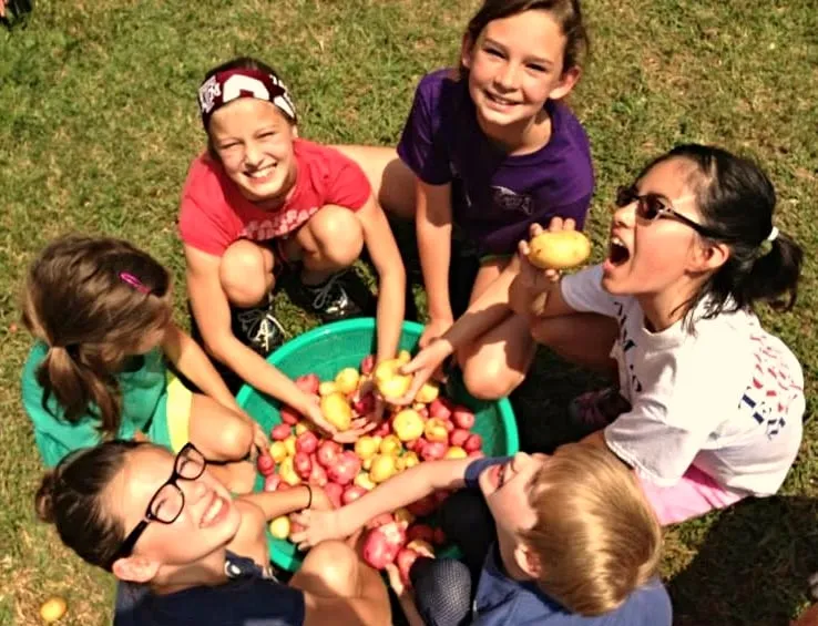 Reliable landscaping services in Fort Worth, TX - Elizabeth Anna's Old World Garden