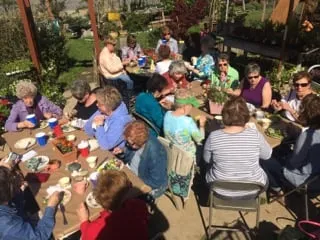 Expert residential landscaping for year-round maintenance across Fort Worth, TX - Elizabeth Anna's Old World Garden