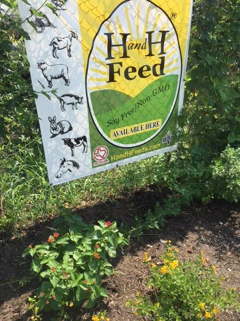 Custom outdoor landscaping with custom design in Fort Worth, TX by Elizabeth Anna's Old World Garden