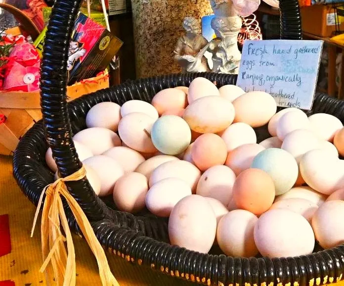 Affordable garden landscaping with custom design across Fort Worth, TX - Elizabeth Anna's Old World Garden