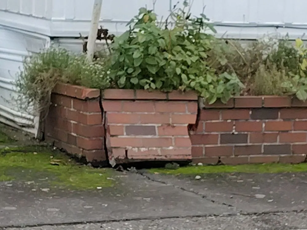 Local lawn care service for beautiful yards across Vancouver, WA - Elizaldes Construction and Maintenance