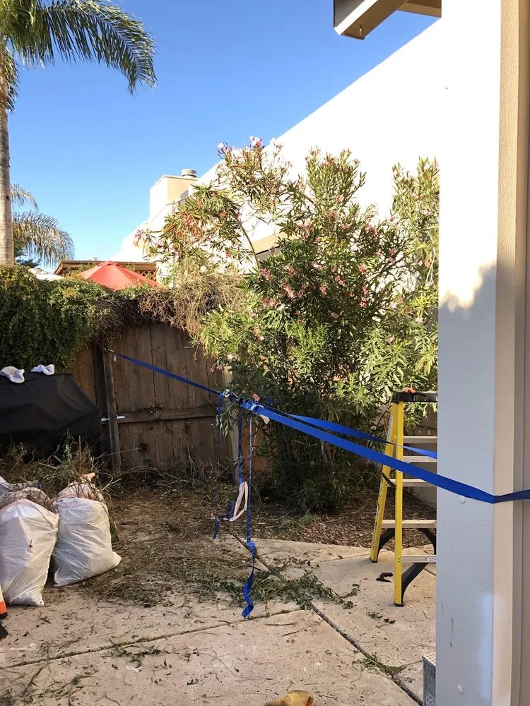 Professional landscaping services in Avondale, AZ - Elizalde's Welding