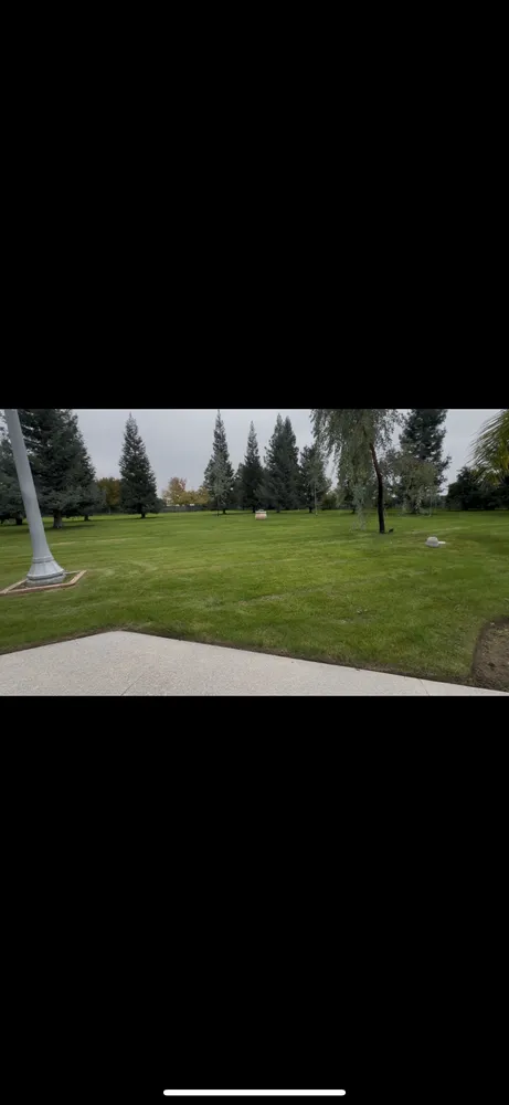 Reliable residential landscaping in Fresno, CA by ELJ Lawn Care