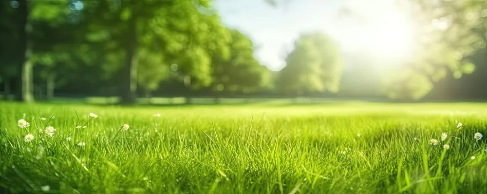 Local lawn care service in Elk City, OK by Elk Lawn Care Solutions