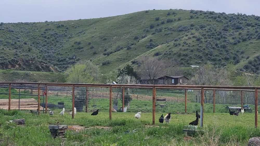 Custom residential landscaping in Emmett, ID - Elk Ridge Landscaping