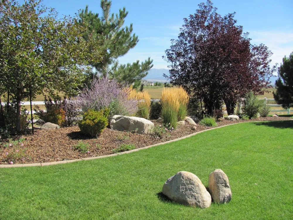 Professional residential landscaping for year-round maintenance across Gardnerville, NV - Elkhorn Landscape