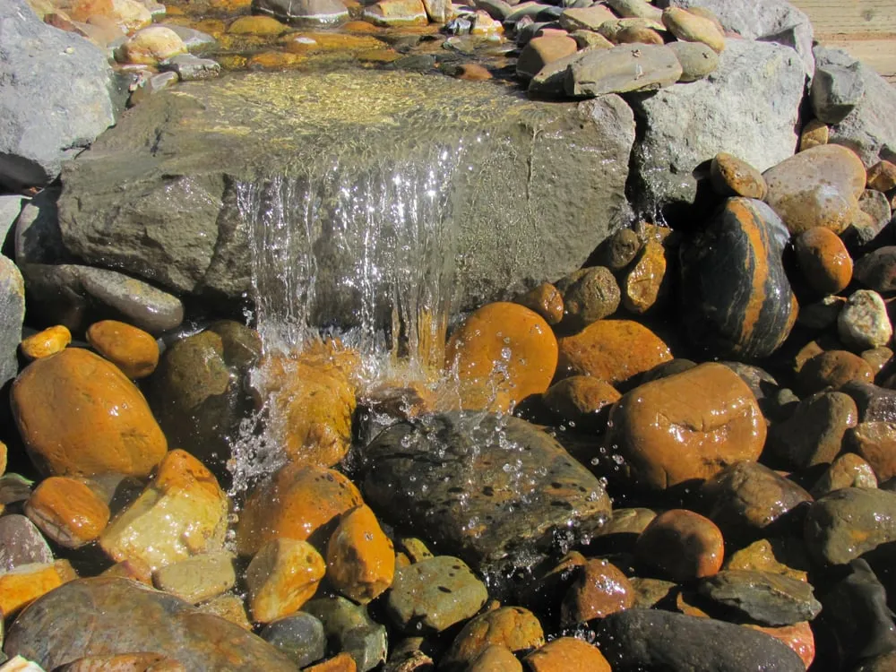 Professional landscaping services for year-round maintenance in Gardnerville, NV by Elkhorn Landscape