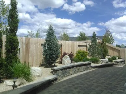 Affordable lawn care service experts serving Gardnerville, NV - Elkhorn Landscape