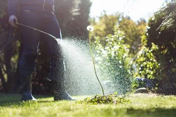 Custom yard cleanup service for year-round maintenance in Thornton, CO by Elkhorn Landscapes