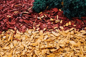 Reliable lawn mowing service for residential properties across Thornton, CO - Elkhorn Landscapes