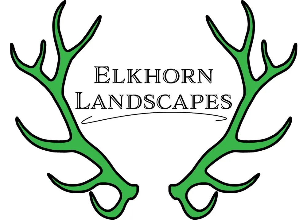 Expert yard maintenance experts serving Thornton, CO - Elkhorn Landscapes