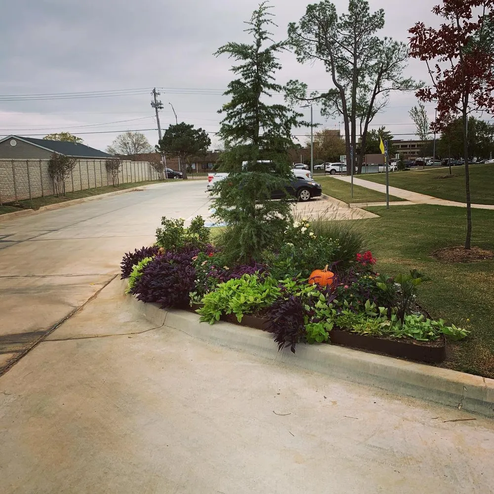 Expert residential landscaping for outdoor upgrades across Norman, OK - Elkhorn Landscaping