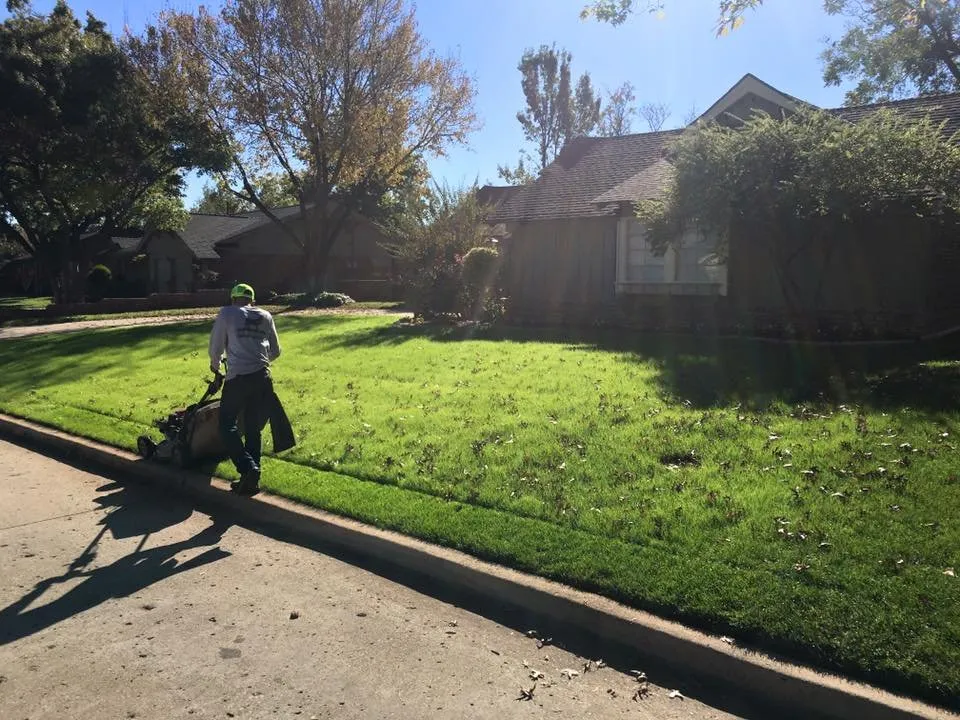 Trusted landscaping services in Norman, OK - Elkhorn Landscaping