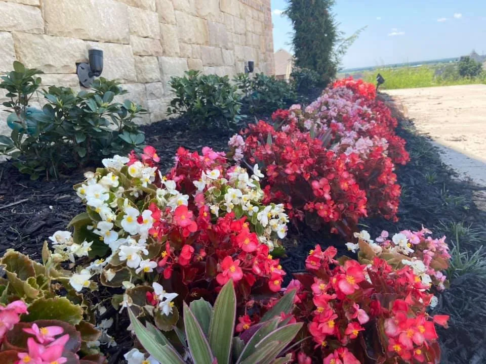 Custom lawn mowing service in Norman, OK - Elkhorn Landscaping