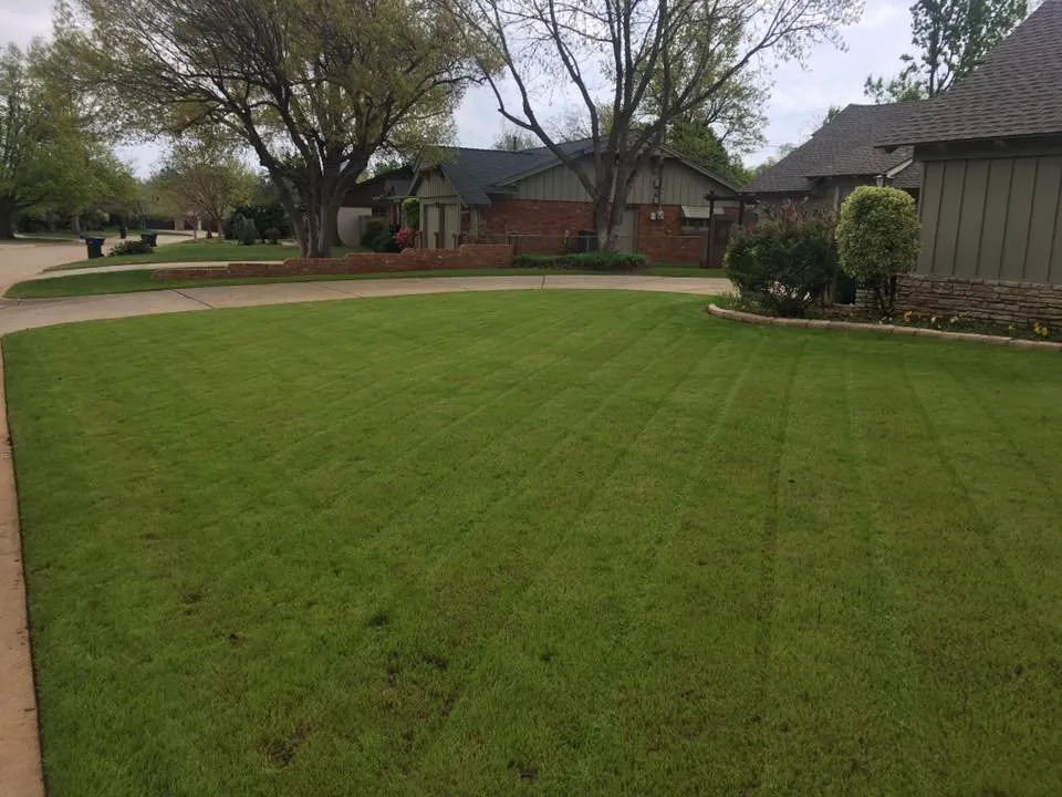 Reliable yard maintenance experts serving Norman, OK - Elkhorn Landscaping