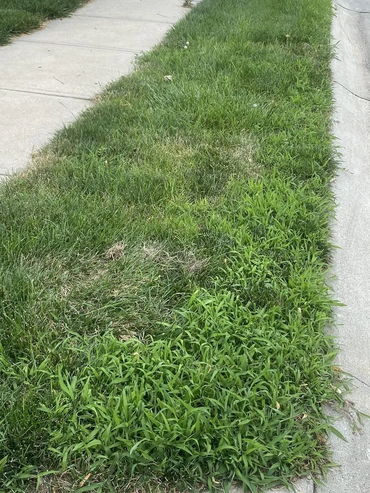 Affordable landscaping services in Omaha, NE by Elkhorn Lawn Care