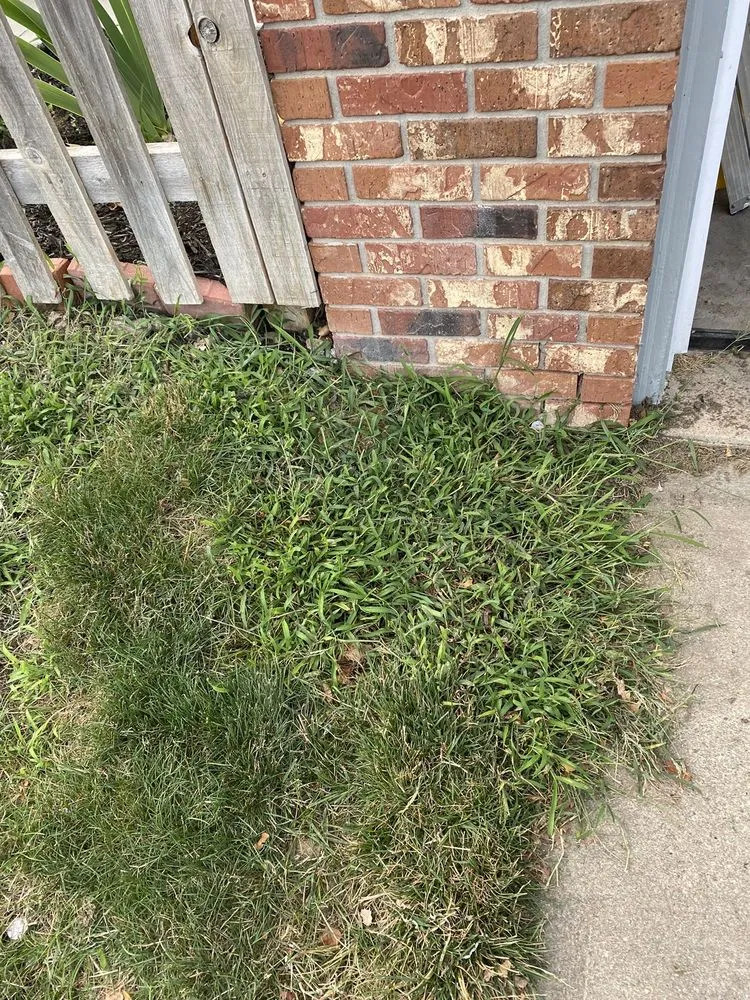 Expert yard maintenance experts serving Omaha, NE - Elkhorn Lawn Care