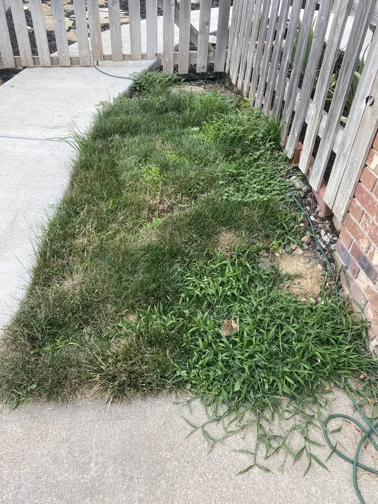 Top-rated landscaping services near you across Omaha, NE - Elkhorn Lawn Care