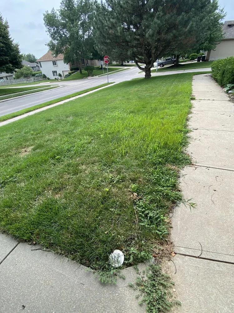 Local landscape design experts serving Omaha, NE - Elkhorn Lawn Care